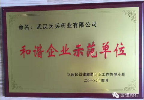 武汉兵兵和谐企业示范单位