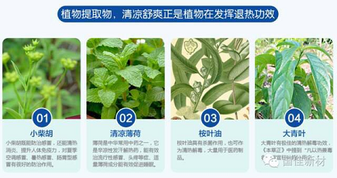 兵兵退热贴添加4大植物成份
